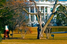 BeehiveofTheFirstLadyMicheleObama