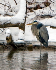 65AF25B5BB974C3E8D0E3D99D87AE138