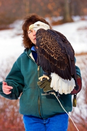 NanceEagleLAB