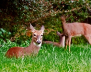 A Mother's Photo Op