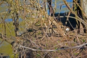 MG_0408web